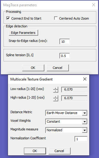 MagTrace Settings for Hippocampus